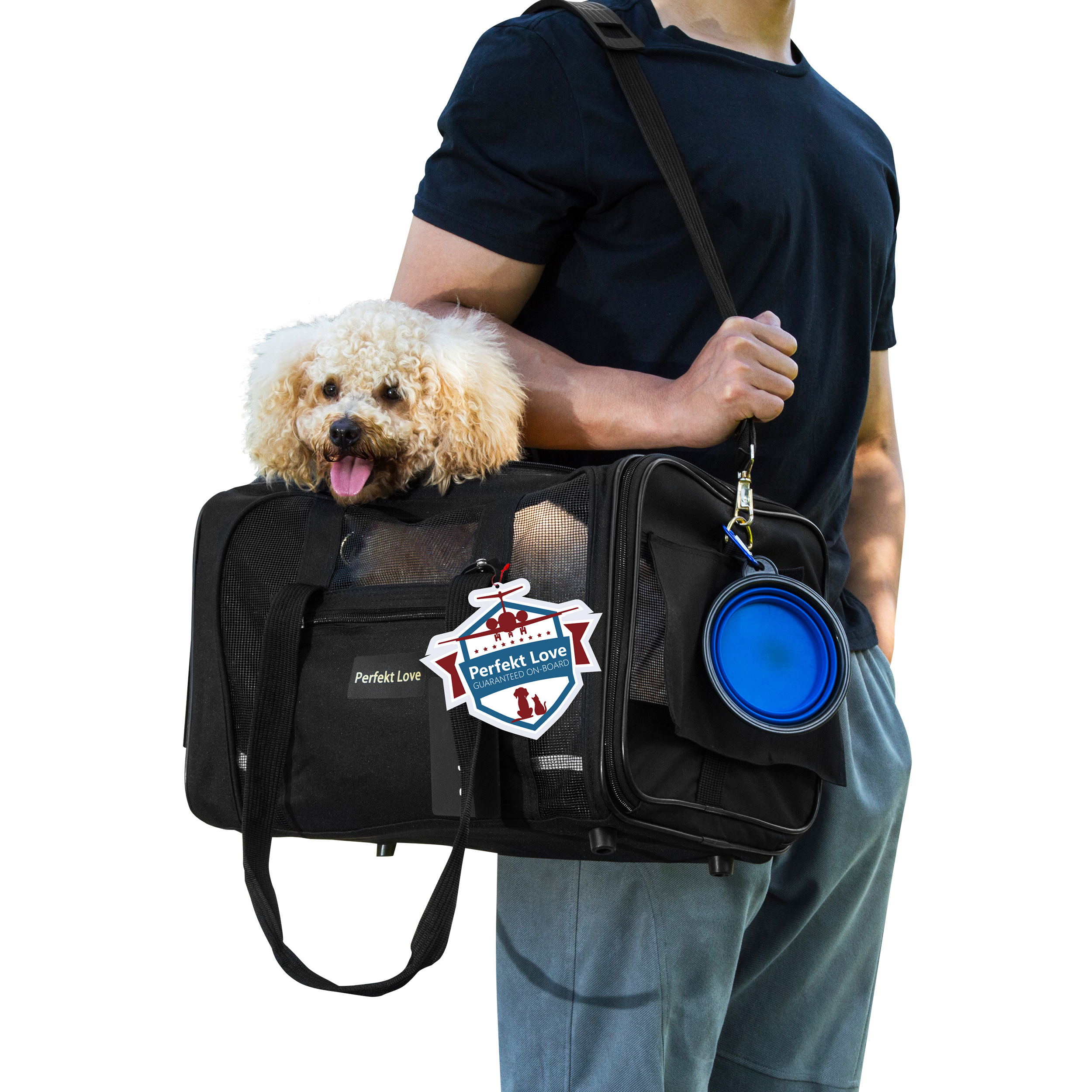 Portable Cat Carrier Folding Dog Soft Sided Travel Carrier Bag with Pet Pad Pet Carrier Airline Approved for Small Cats